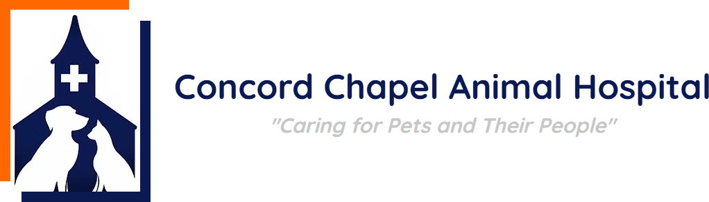 Concord Chapel Animal Hospital
